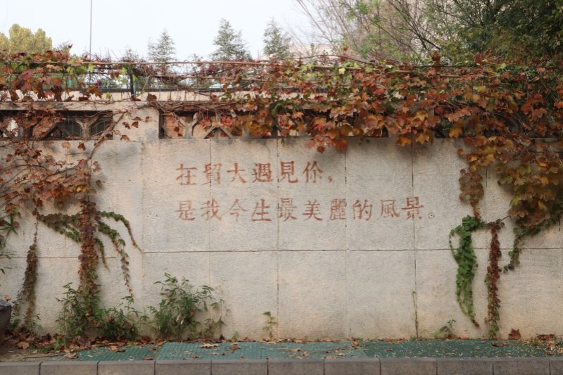 bob体ob体育新手怎么玩