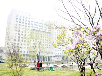 青岛政务网